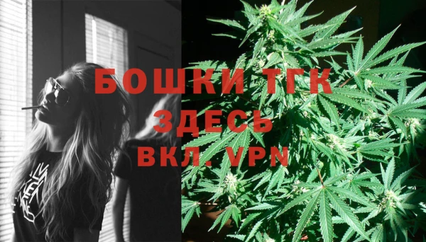 Альфа ПВП Бугульма