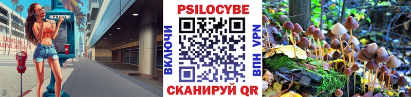Псилоцибиновые грибы Psilocybe  Купить закладки  Кремёнки 
